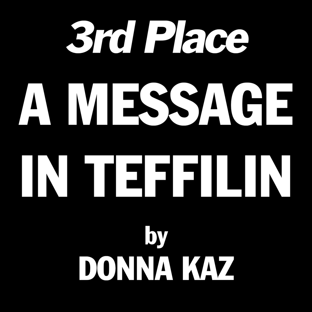 A Message in Teffilin by Donna Kaz
